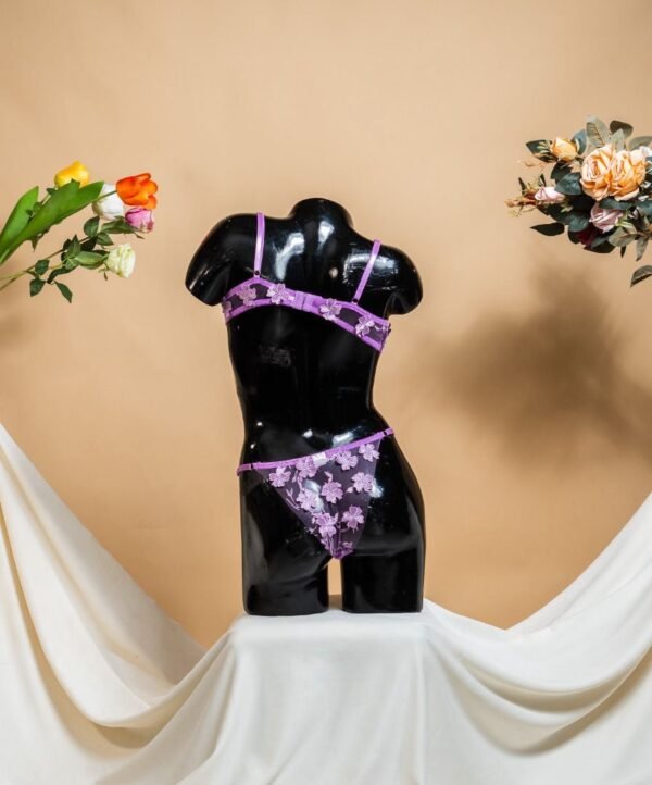 Lingerie – Image 2